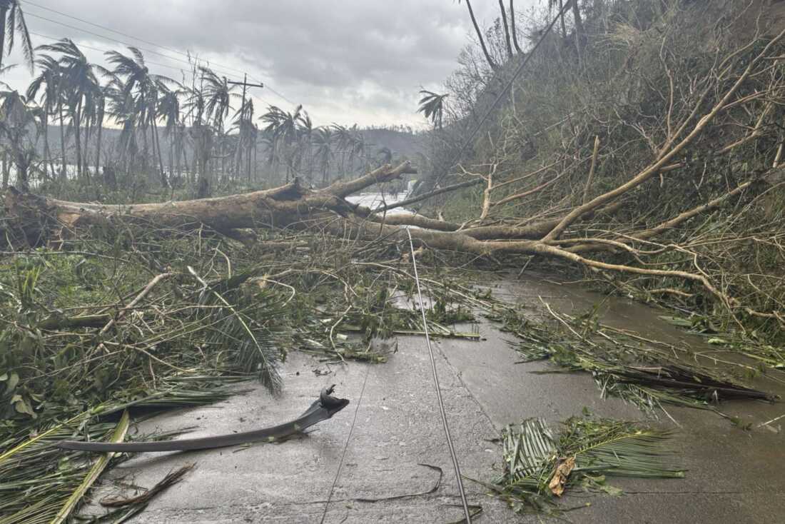 In this photo provided by the MDRRMO Viga Catanduanes, toppled trees caused by Typhoon Man-yi block a road in Viga, Catanduanes province, northeastern Philippines Sunday, Nov. 17, 2024.