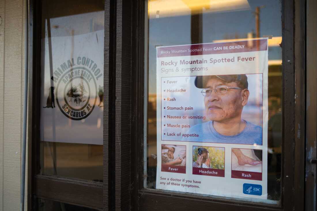 An informational poster at the San Carlos Animal Control clinic on the reservation advises the community about Rocky Mountain Spotted Fever.