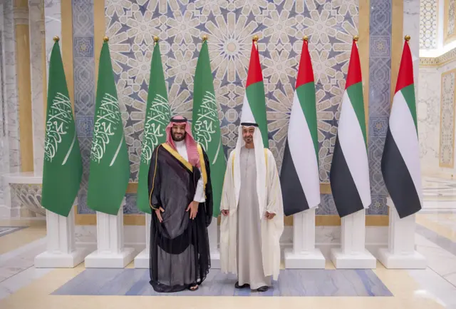 غاب عن قمة القاهرة كل من ولي العهد السعودي محمد بن سلمان ورئيس دولة الإمارات محمد بن زايد