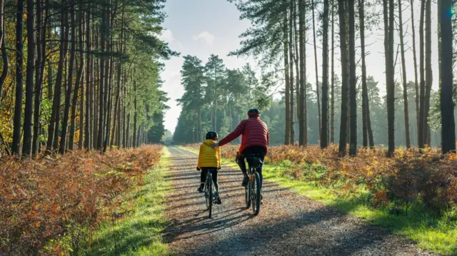 فتاة صغيرة تركب دراجة في الغابة مع والدها في يوم خريفي