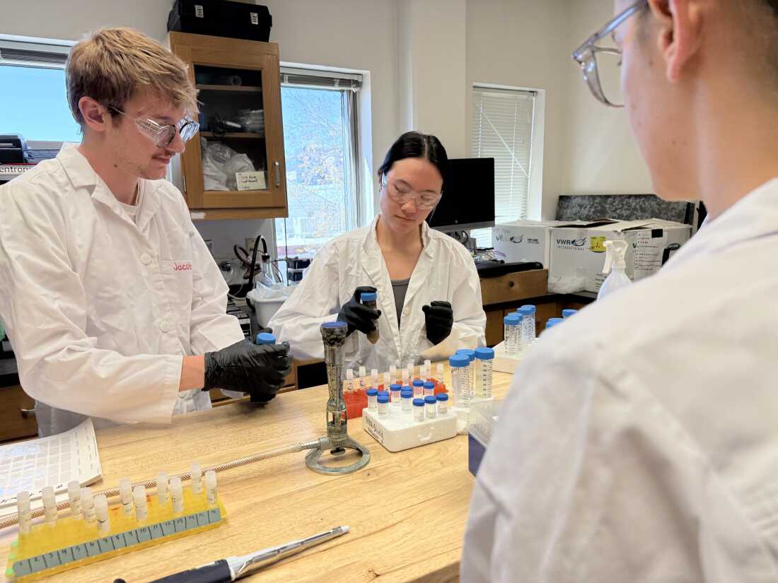 At Colorado State University, Jacob Hall and Emma Lopez work up a set of samples collected recently while Kyndal Prahl looks on. All three have spent a portion of their undergraduate years collecting and analyzing microbes.