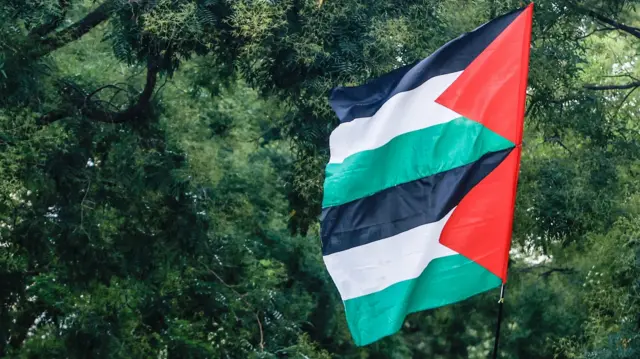 العلم الفلسطيني