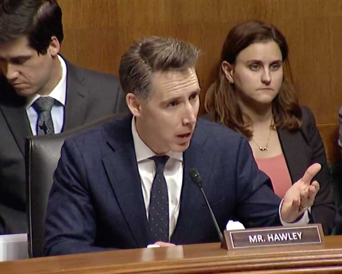 Sen. Josh Hawley, R.-Missouri, is shown speaking in an animated way in the hearing room.
