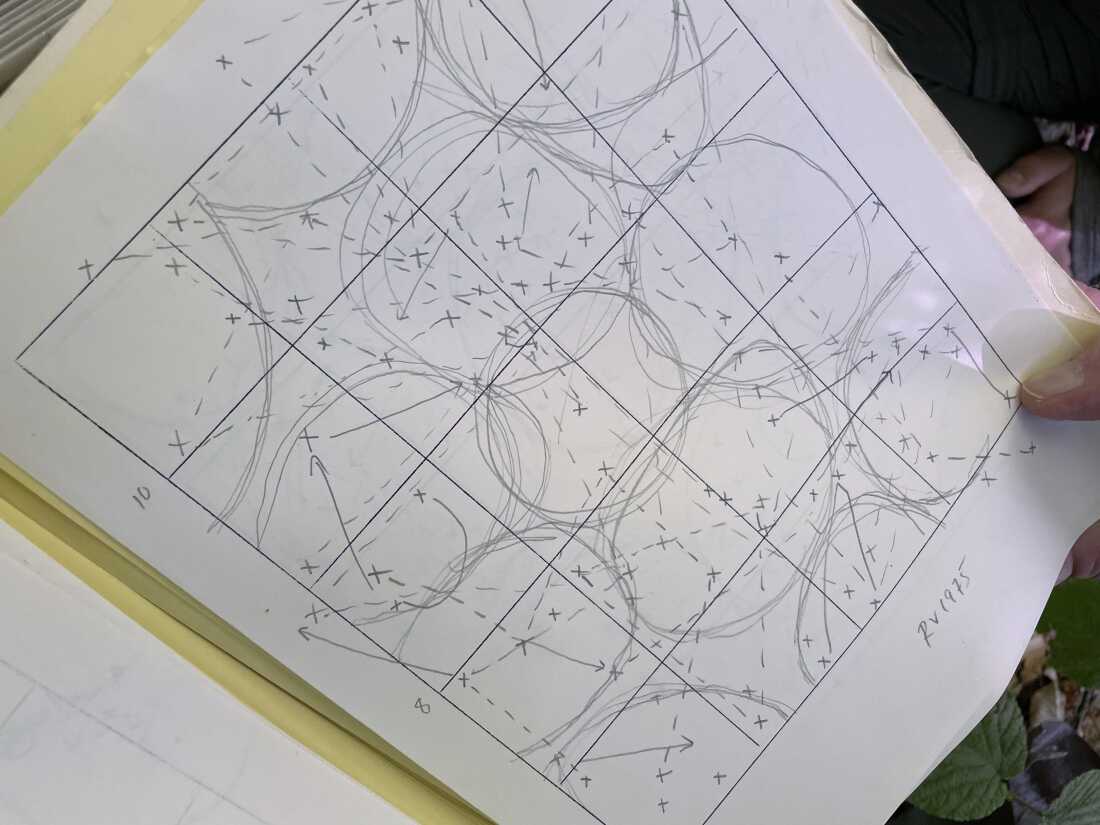 Each of these circles represents a different songbird territory. And each "X" corresponds to a bird that was seen or heard on the forest plot. Solid lines show flight movements and dotted lines register birds countersinging to one another.