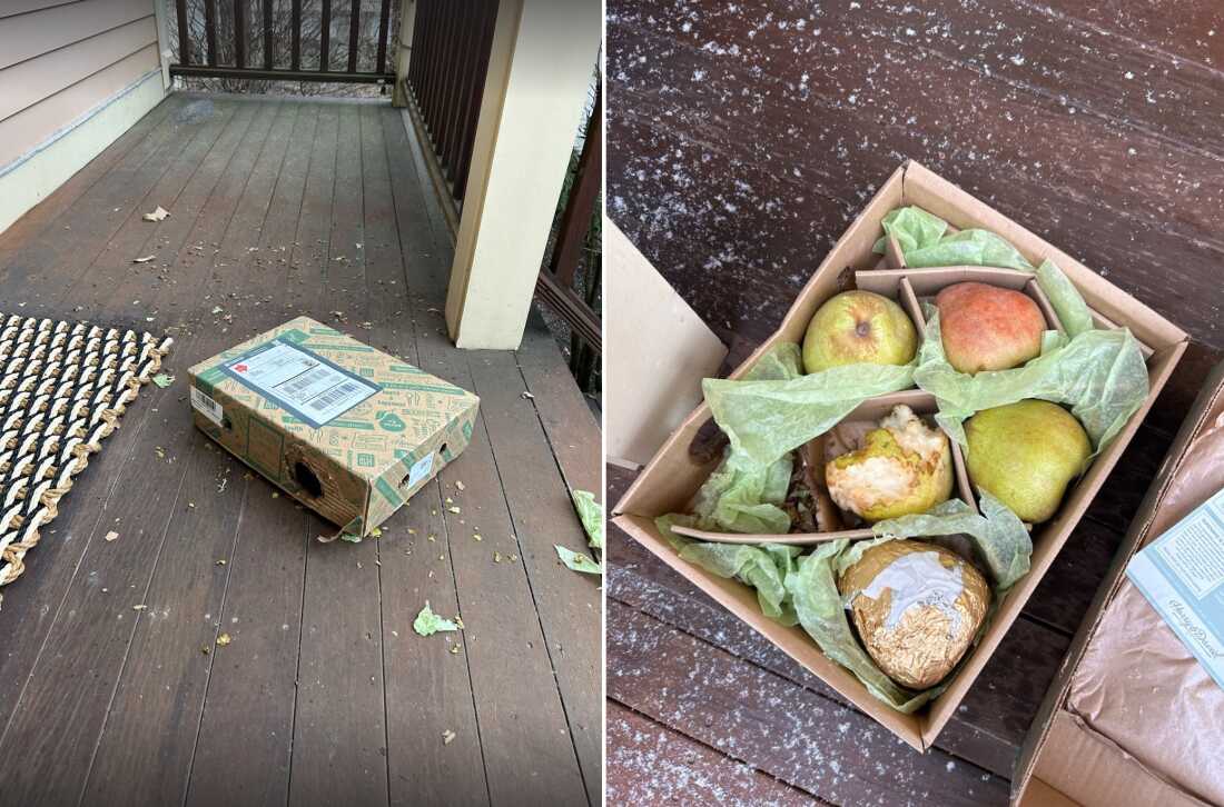 Adaline Lining, of Somerville, Mass. couldn't enjoy her Christmas pears, because the rats got to them first.