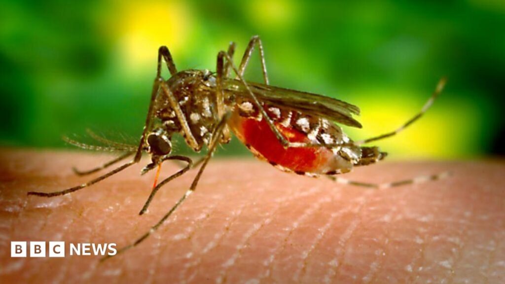 Sri Lanka Deploys Drones Against Dengue Breeding Sites