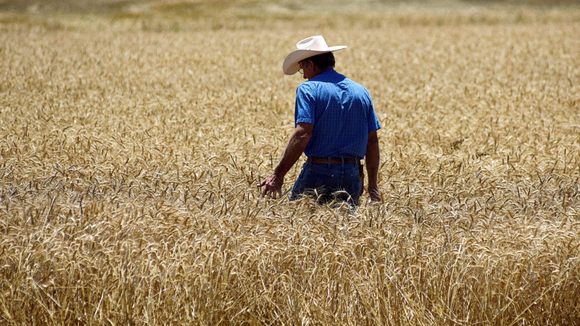 Extreme Weather Raises Commodity Market Risks