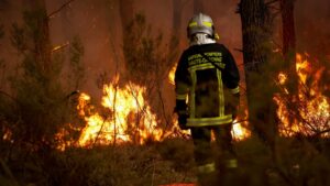 Wildfires Force Mass Evacuations in France and Spain
