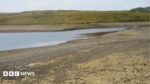 Drought Declared Across Whole of Wales