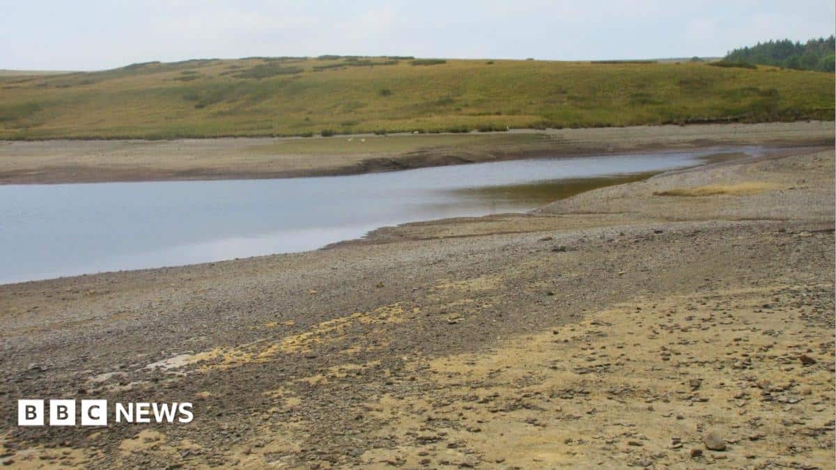 Drought Declared Across Whole of Wales