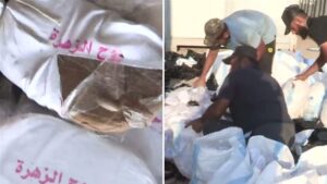3.5 Tons of Cannabis Seized at Beirut Port