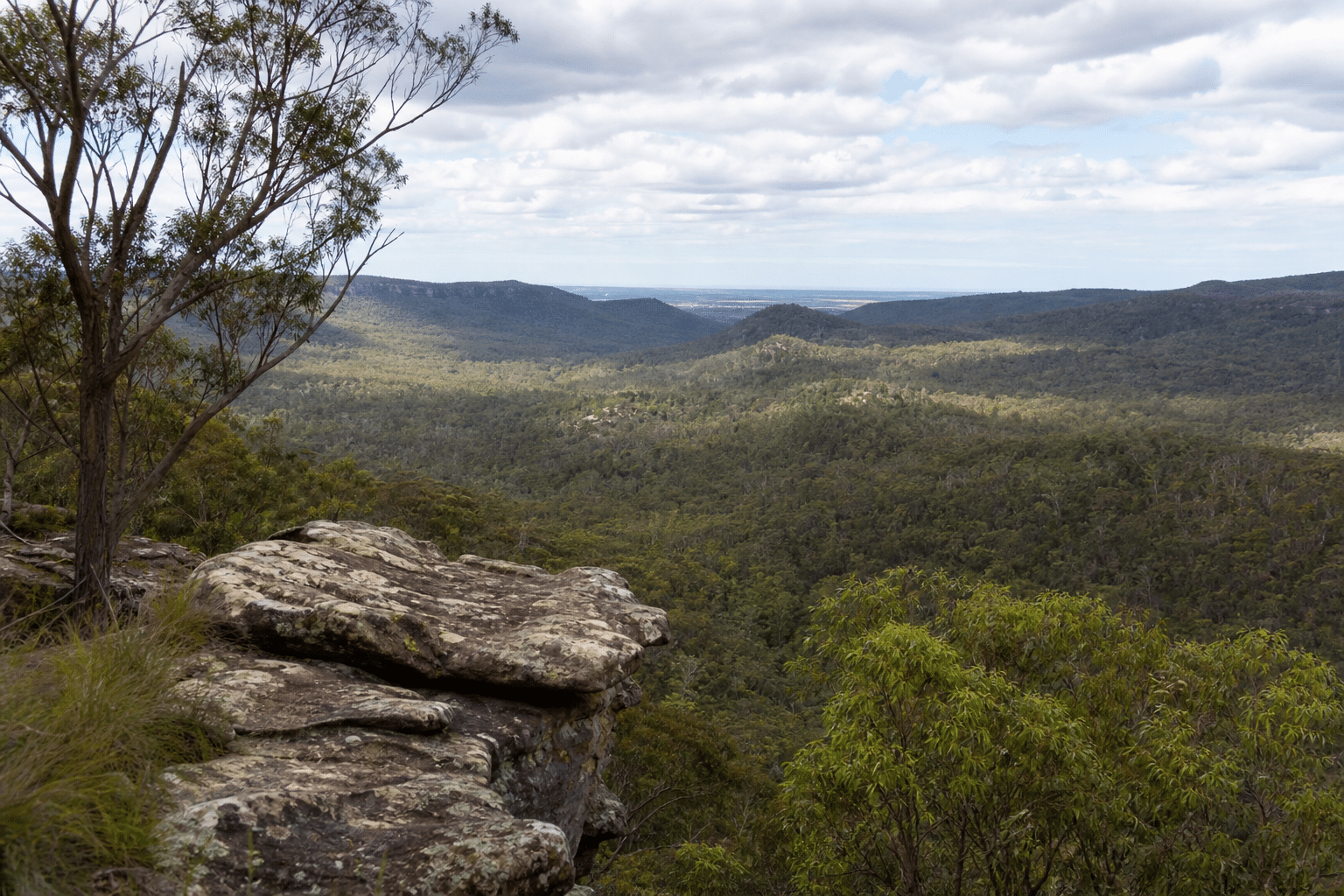 Gulguer National Park Planned for Western Sydney