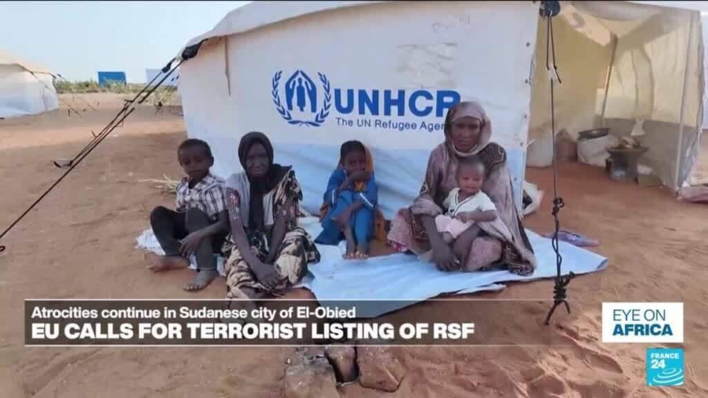 European Parliament calls for listing Sudan's Rapid Support Forces as a terrorist organisation
