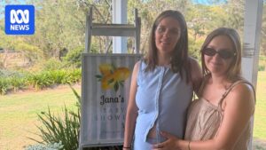 Volunteers and police searching bushland near Preston, Toowoomba, for missing mother Jana Armstrong