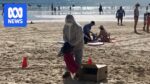 Wildlife rescuer in protective gear carrying a sick northern giant petrel from Noosa Beach for H5 testing