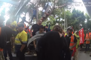 Coffin hoisted in a tree outside Master Builders Queensland's Brisbane offices during a 2022 CFMEU rally