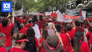 Teachers marching to parliament in central Melbourne during March statewide strike