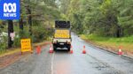 Police vehicles with flashing lights on a road during cross-border pursuit in northern New South Wales