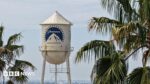 Ellison Defends Paramount-Warner Bros Takeover